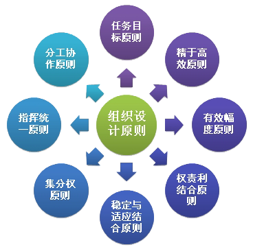 江门IT服务公司组织设计原则